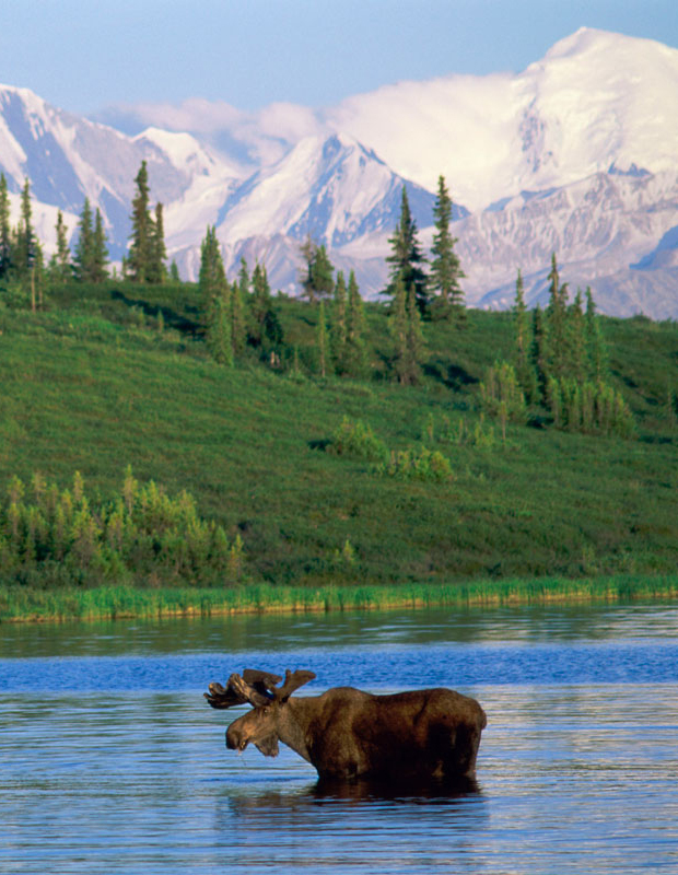 Nature.Mountains.WonderLake.Denali.National.Park_.Alaska-cropped